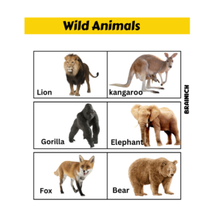 Foundation of Learning – 2 (All in One Book for Nursery )