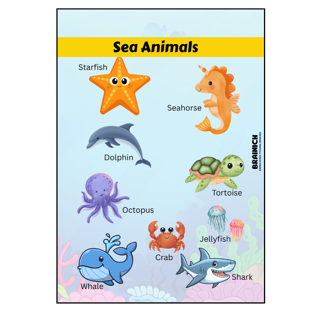 EVS Text-cum-Workbook for LKG (4–6 Years) - Image 4